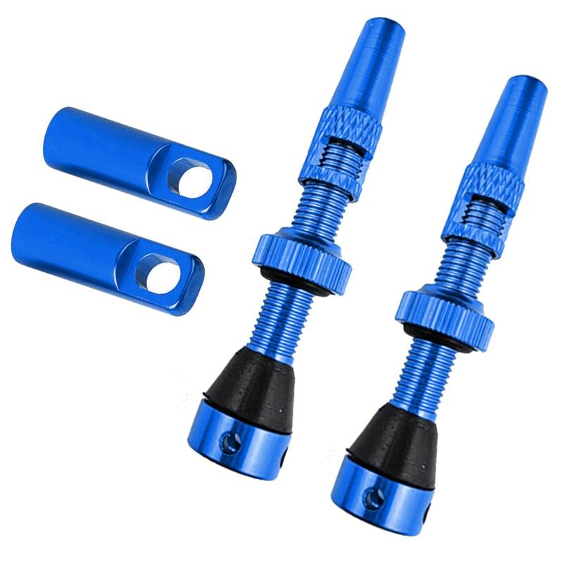 Tubeless Bikes Ventile Stammkits Mit Integriertem Wert Kernen Entfernerwerkzeug Und Ventile Stammkappen 60 Mm Tubeless Wertstamm von LEIDJGUN