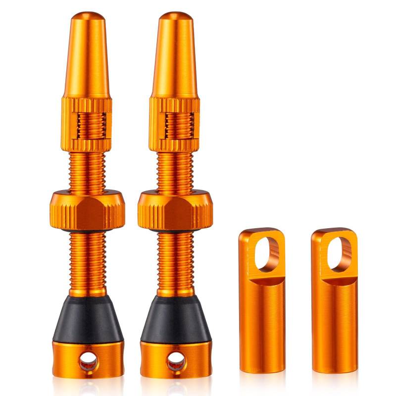 Tubeless Bikes Ventile Stammkits Mit Integriertem Wert Kernen Entfernerwerkzeug Und Ventile Stammkappen 60 Mm Tubeless Wertstamm von LEIDJGUN