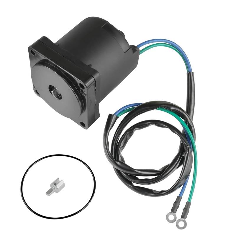 Anlasser 38100-96J00 Tilt-Trimm-Motor Für Suzuki Für Außenbordmotor 4T DF60-300 Bootsmotor 38100-92J02 38100-93J01 38100-99E01 Starter Anlasser von LENTLY