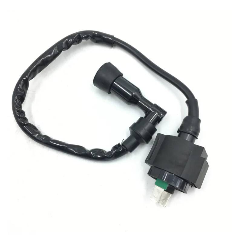 Zündspule Für CB250 Für MC26 1991 1992 1993 1994 1995 1996 1997 1998 1999 2000 2001 2002 2003 2004 2005 2006 2007 2008 Zündspule Zündungen von LENTLY