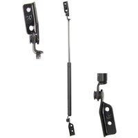 Gasfeder, Koffer-/Laderaum LESJÖFORS 8162024 Rechts Gasfeder, Koffer-/Laderaum LESJÖFORS 8162024 Rechts von Lesjofors