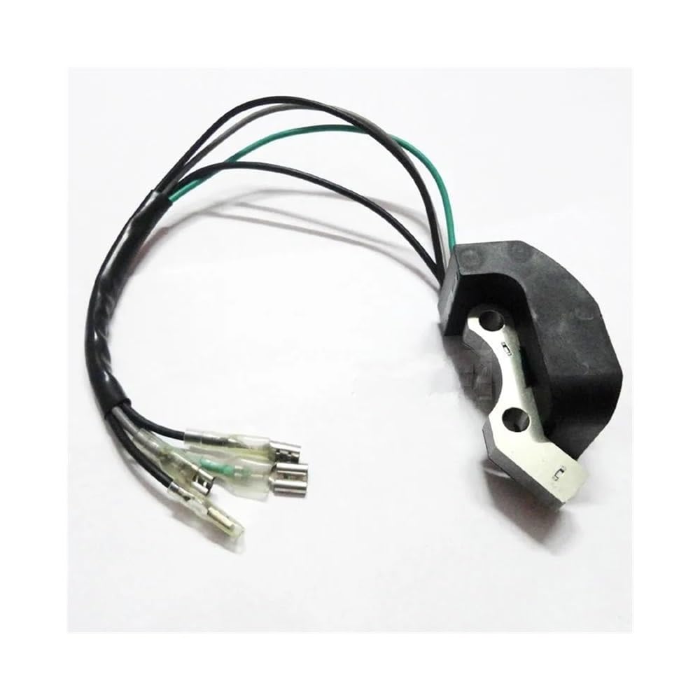 ET950 ET650 IE45 TG950 mit Magneto zündspule Zündgerät for Tiger Generator 450W 650W 800W 950W 1000W 2 hub Zubehör(Green) von LFJbdO