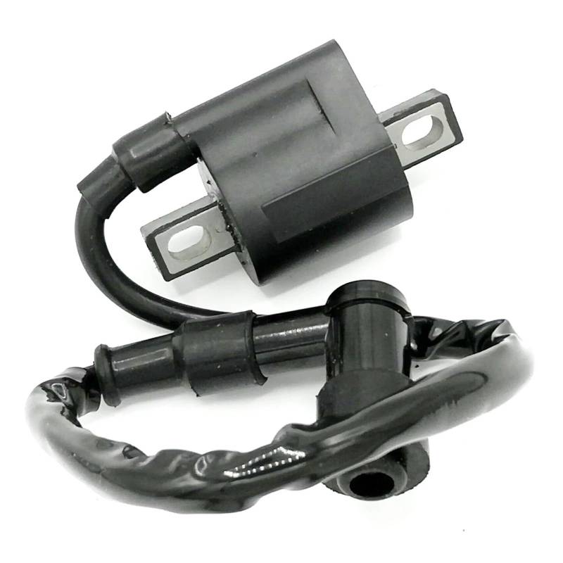 Zündspule for Hisun for Massimo for Supermach for Bennche for MSU HS700 YS 700 700CC ATV UTV Zubehör von LFJbdO