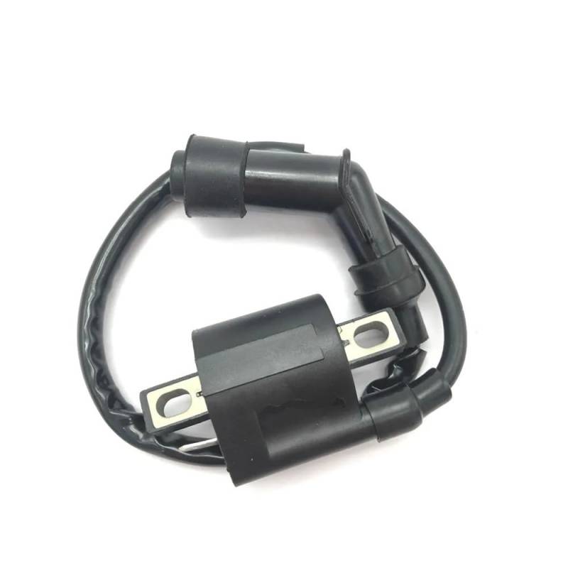 Zündspule for YMH YFM350 YFM 350X for Warrior ATV Quad 1987-2004 Zubehör von LFJbdO