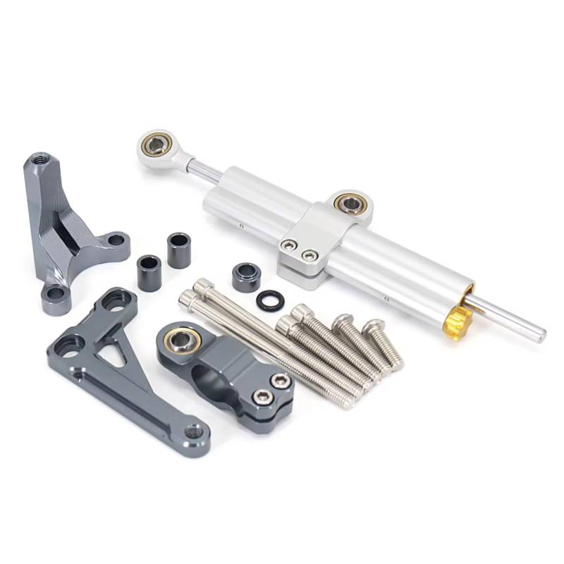 LISROEU Lenkungsstabilisator Kompatibel Mit CB1000R 2018-2023 Motorrad Lenkungsdämpfer Stabilisieren Sie Den Halterungsmontagesatz Universalzubehör Einstellbar(Silver-Gray) von LISROEU