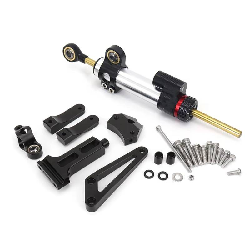 LISROEU Lenkungsstabilisator Kompatibel Mit CB1300 2003 2004 2005 2006 2007 2008 2009 2020 2011 Motorrad Lenkungsdämpferhalterung Montagesatz Universalzubehör(Silver) von LISROEU