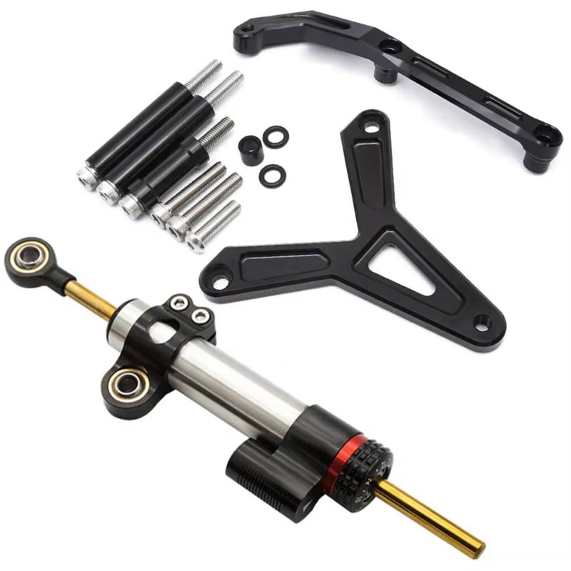 LISROEU Lenkungsstabilisator Kompatibel Mit Yamaha Für FJ-09 Für MT-09 Für Tracer 2021–2023 Motorrad Lenkungsdämpfer Stabilisatorhalterung Halterungssatz Montage Universell(Silver) von LISROEU