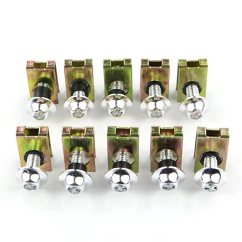 LISROEU Motorrad Schrauben Für S1000R S1000XR R1200RS G310R R1200GS F800GS F700GS 5mm 10PCS Motorrad Mutter Schrauben Set Schraube Senkkopf Schrauben(Silver) von LISROEU
