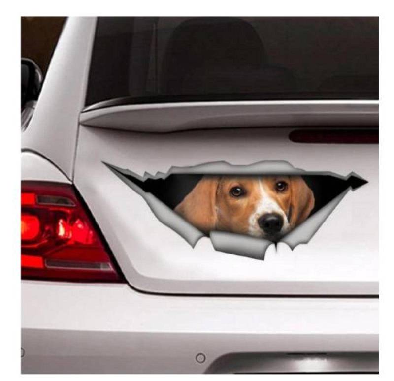 Auto Sticker Autoaufkleber Lustig Dog Beagle-Auto-Aufkleber, Vinyl-Aufkleber, Autodekoration, Lustige Aufkleber, Hund-Aufkleber, Haustier-Aufkleber（15Cm） von LIUWW