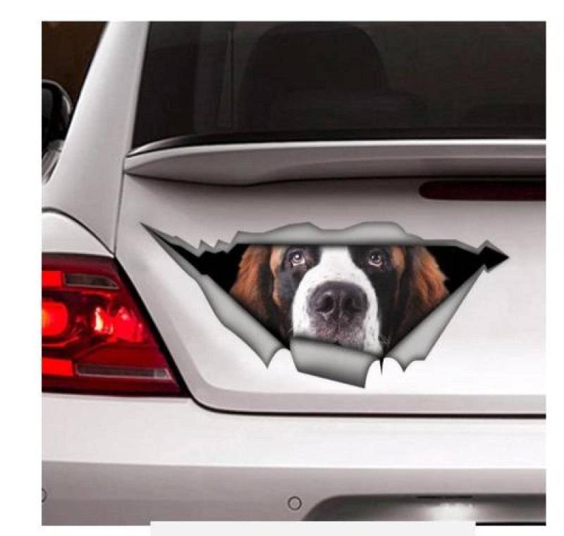 Auto Sticker Autoaufkleber Lustig Dog Bernhardiner-Aufkleber, Vinyl-Aufkleber, Autodekoration, Haustier-Aufkleber, Hundeaufkleber（15Cm） von LIUWW