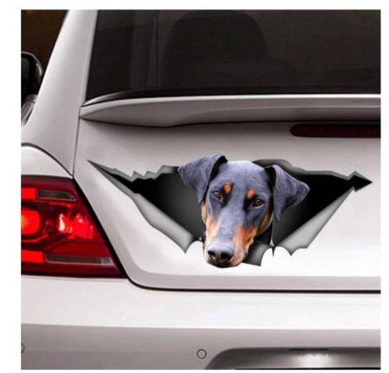 Auto Sticker Autoaufkleber Lustig Dog Dobermann-Aufkleber, Haustier-Aufkleber, Hund-Aufkleber, Natürliche Dobermann-Ohren（15Cm） von LIUWW