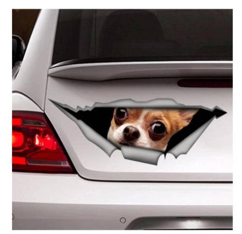 Auto Sticker Autoaufkleber Lustig Dog Lustige Chihuahua-Auto-Aufkleber, Chihuahua-Auto-Aufkleber, D-Aufkleber, Autodekoration, Haustier-Aufkleber, Hund-Aufkleber, Hund-Aufkleber（15Cm） von LIUWW