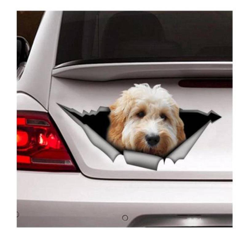 LIUWW Auto Sticker Autoaufkleber Lustig Dog Weißer Goldendoodle-Auto-Aufkleber, D-Aufkleber, Haustier-Aufkleber, Hund-Aufkleber（15Cm） von LIUWW