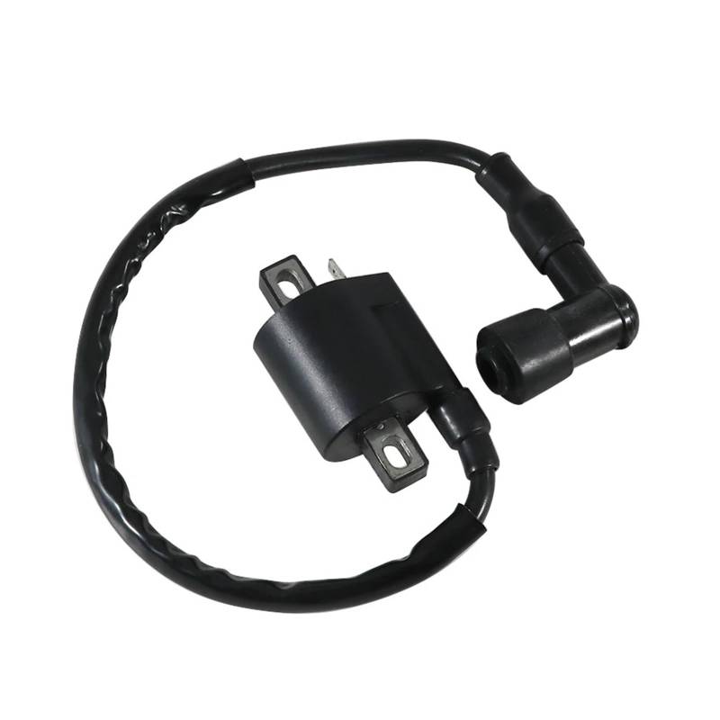 Motorradzündgerät Motorrad Teile Starten Motor Zündspule Für TW200E TW200 TW125 TTR125R TTR125LWE DT50RSM CW50 CW50N Zündspule von LKRGBXA