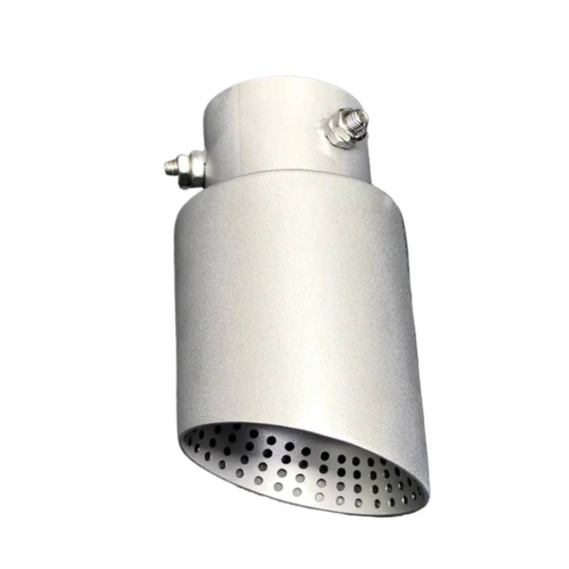Schalldämpfer Spitze Für Toyota Für RAV4 1 STÜCKE Auspuffblende Edelstahl Schalldämpfer Anschraubrohr Autozubehör Endrohreinlass 60mm Auspuffblende Auto von LKRGBXA