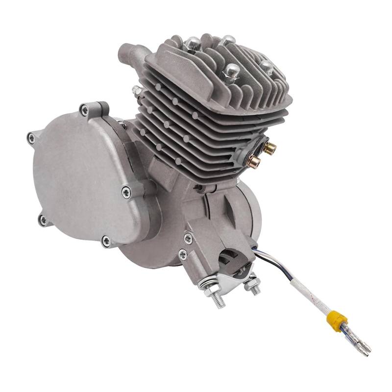 80ccm Rollermotor for 65 PS, 5500 U/min Großer Kraftstofftank von LOFLRCFE