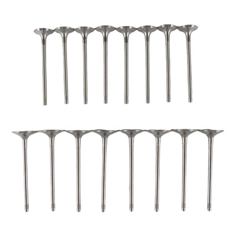 16pcs Motoreinlass- und Abgabventil von LOGFDPYM