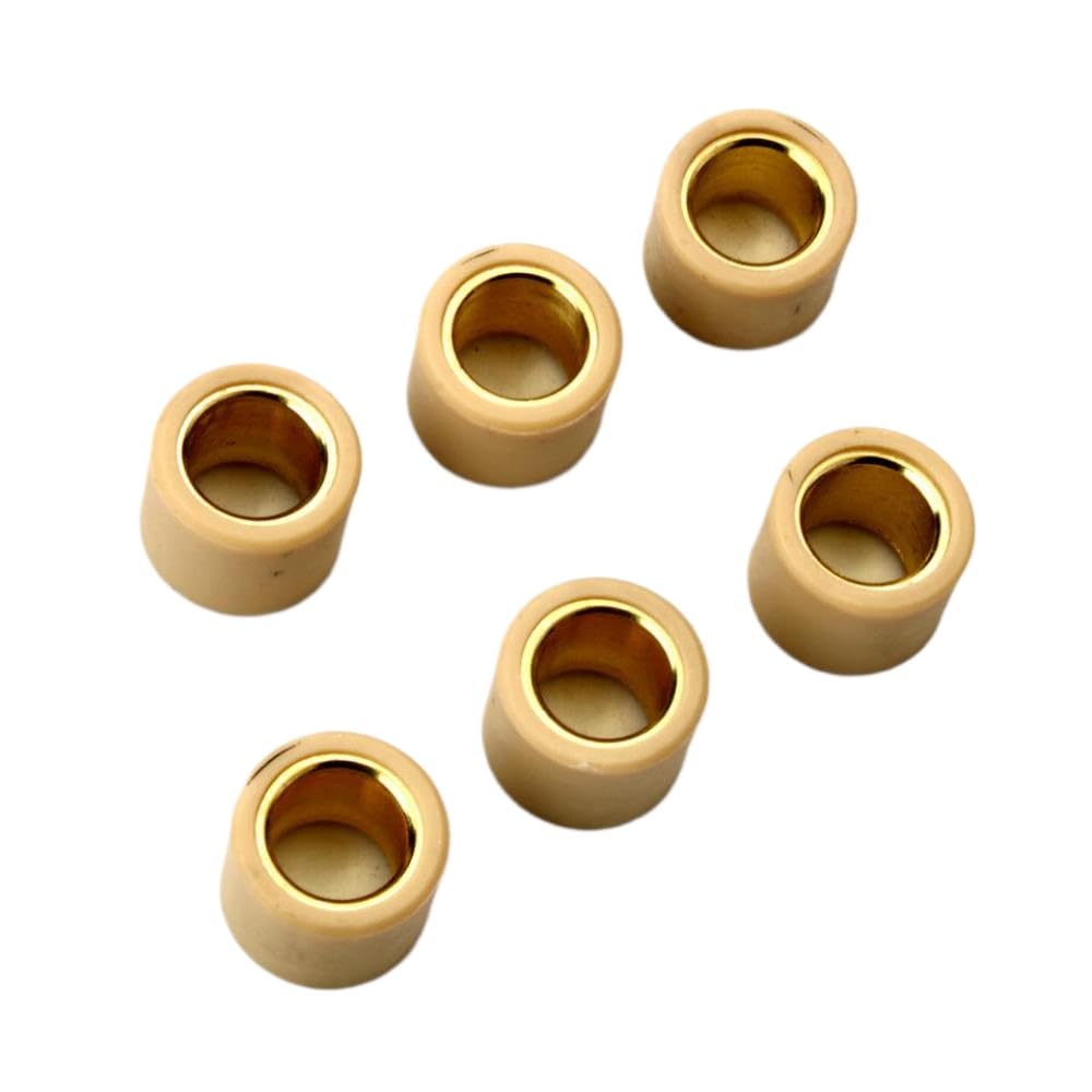 6pc 13g Variator Rollers 21x17mm Kompatibel mit kompatible 250ccm 300ccm 6pc 13g Variator Rollers 21x17mm Kompatibel mit kompatible 250ccm 300ccm von LOGFDPYM