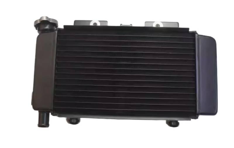 Kühlungslüfterkompatibler Kühler Kompatibel mit CF250NK-Modelle Code 6KM0-180110 6KM0-180100(Radiator) von LOGFDPYM