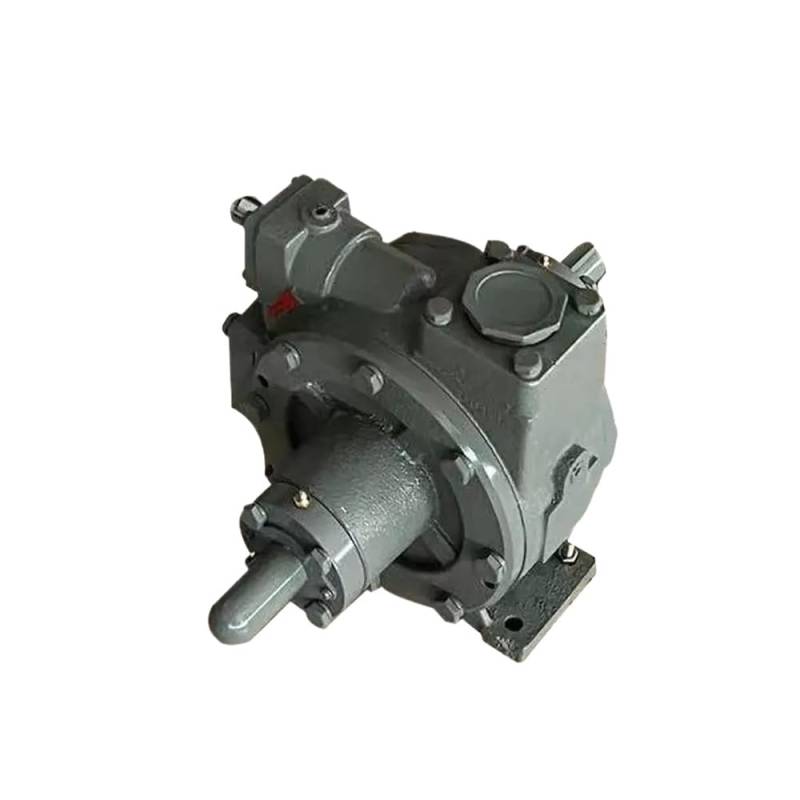LPG 2000 Schaufelpumpe kompatibel mit verschiedenen LPG -Pumpensystemen von LOGFDPYM