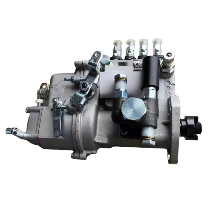 SNH 654704 Motor 4102 Pumpenbaugruppe kompatible Teile Kompatibel mit Traktoren in China von LOGFDPYM