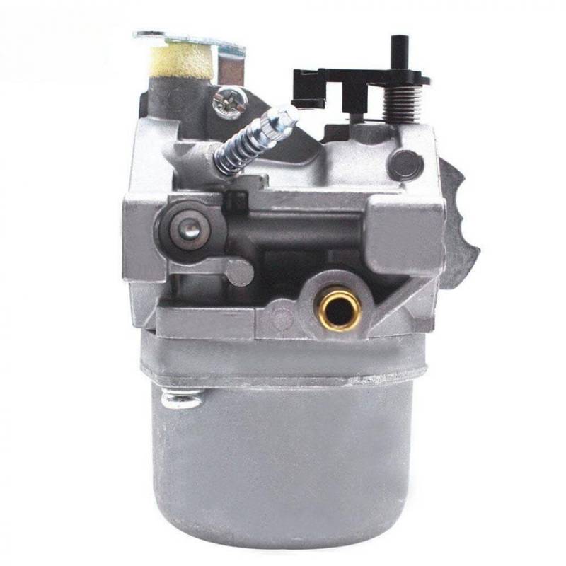 Vergaser kompatibel mit 799728 498027 498231 499161 495706 von LOGFDPYM