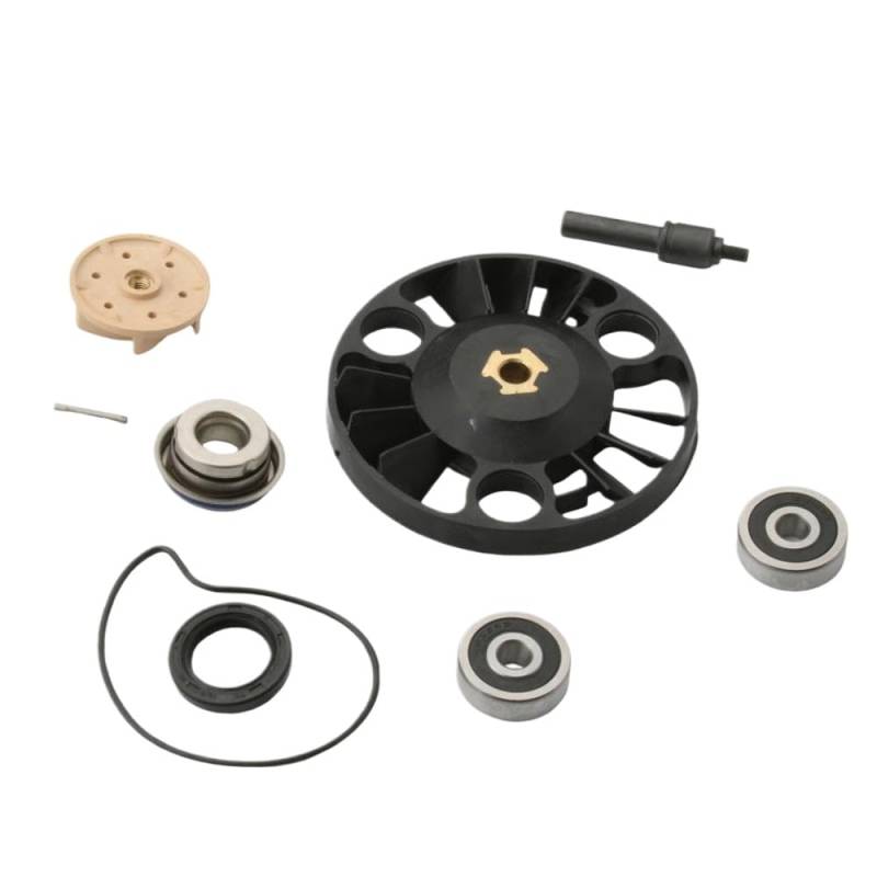 Wasserpumpenreparatur -Kit kompatibel mit Beverly RST 125 x8 x9 Evolution 200cc Modell 100110230 von LOGFDPYM