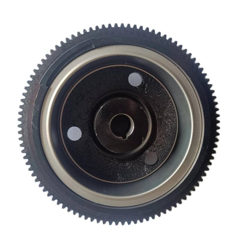 Schwungradrotorbaugruppe 3AA060910 3AA-06091-0 Kompatibel mit 8 9,8 PS Viertaktmotor Universal von LOOwAH