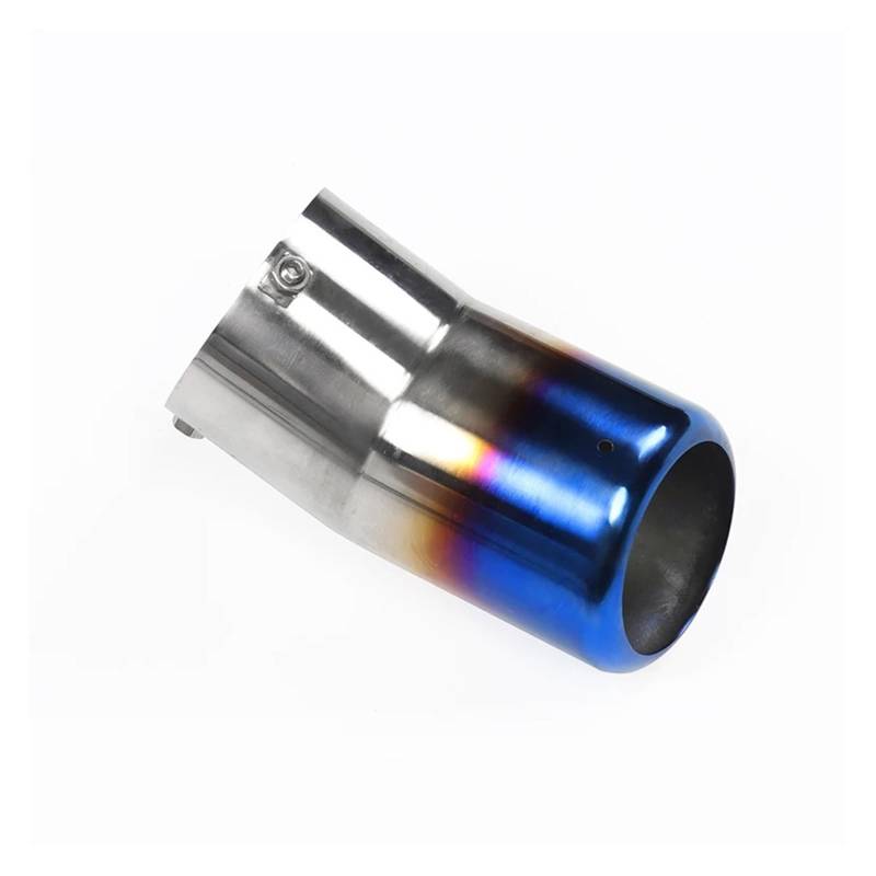 Auto-Endrohre Für 2008 2009 2010 2011 2012-2022 Für Lexus Für LX570 Für 450d Modifikation Außenzubehör Endrohr Auspuff Dekorativer Schalldämpfer Außen Endschalldämpfer Auspuffendrohr(Paint Blue) von LORSKRD
