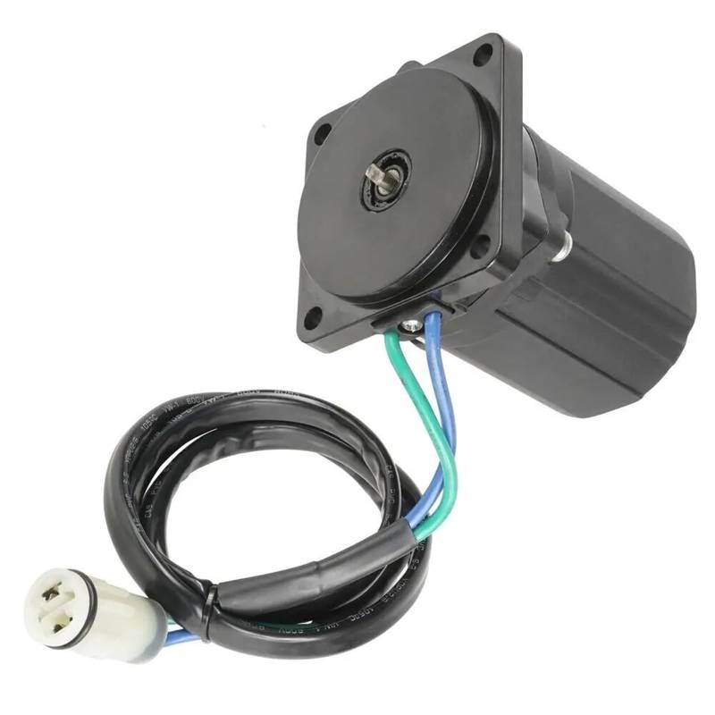 Starter Anlasser Für Außenbordmotoren BF40 BF50 2004 2005 2006 2007 2008 2009 2010 2011 2012 2013-UP 36120-ZW4-H12 430-22111 430-22158 Tilt-Trimm-Motor Anlasser Motor von LORSKRD