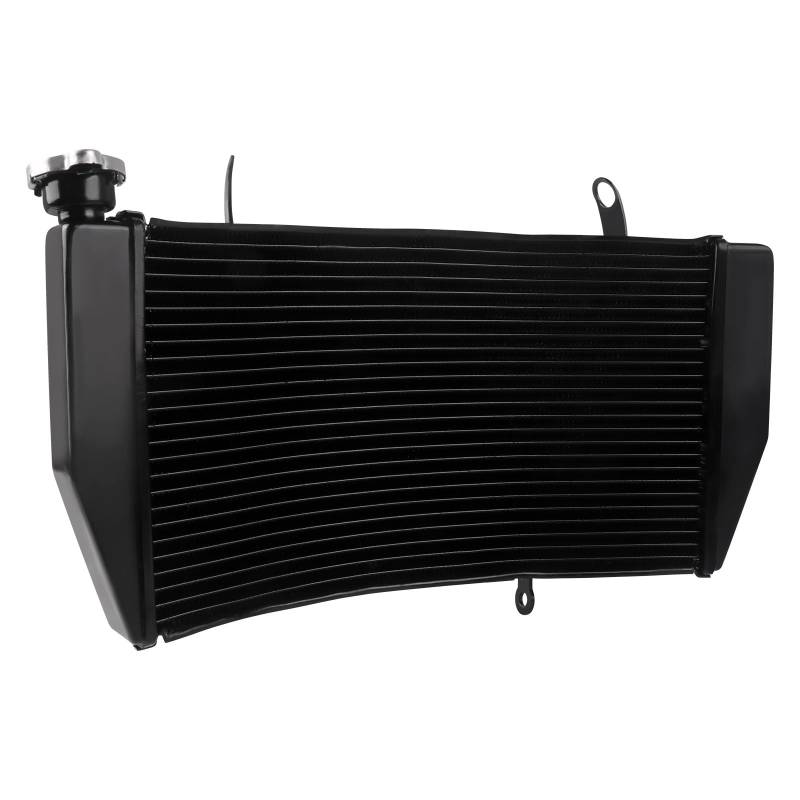 LOTFI Fit for Ducati 848 1098 1198 2008-2011 2009 2010 Motorrad Zubehör Motor Kühler CNC Aluminium Kühler Kühlung Wasser Tank von LOTFI