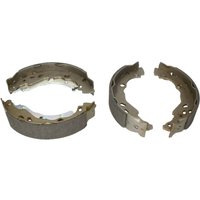 Bremsbackensatz LPR 01109 von Lpr