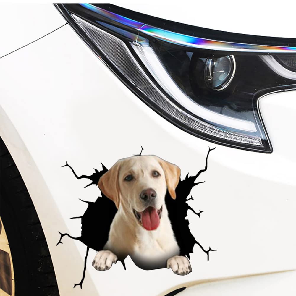 3D Hund Aufkleber, 4 Stück Französische Bulldogge Aufkleber Auto Kühlschrank Wandaufkleber Personalisierte Bulldogge Hund Auto Aufkleber Lustige Bulldogge Riss Aufkleber für Auto Motorrad,30cmx30cm von LSGGTIM