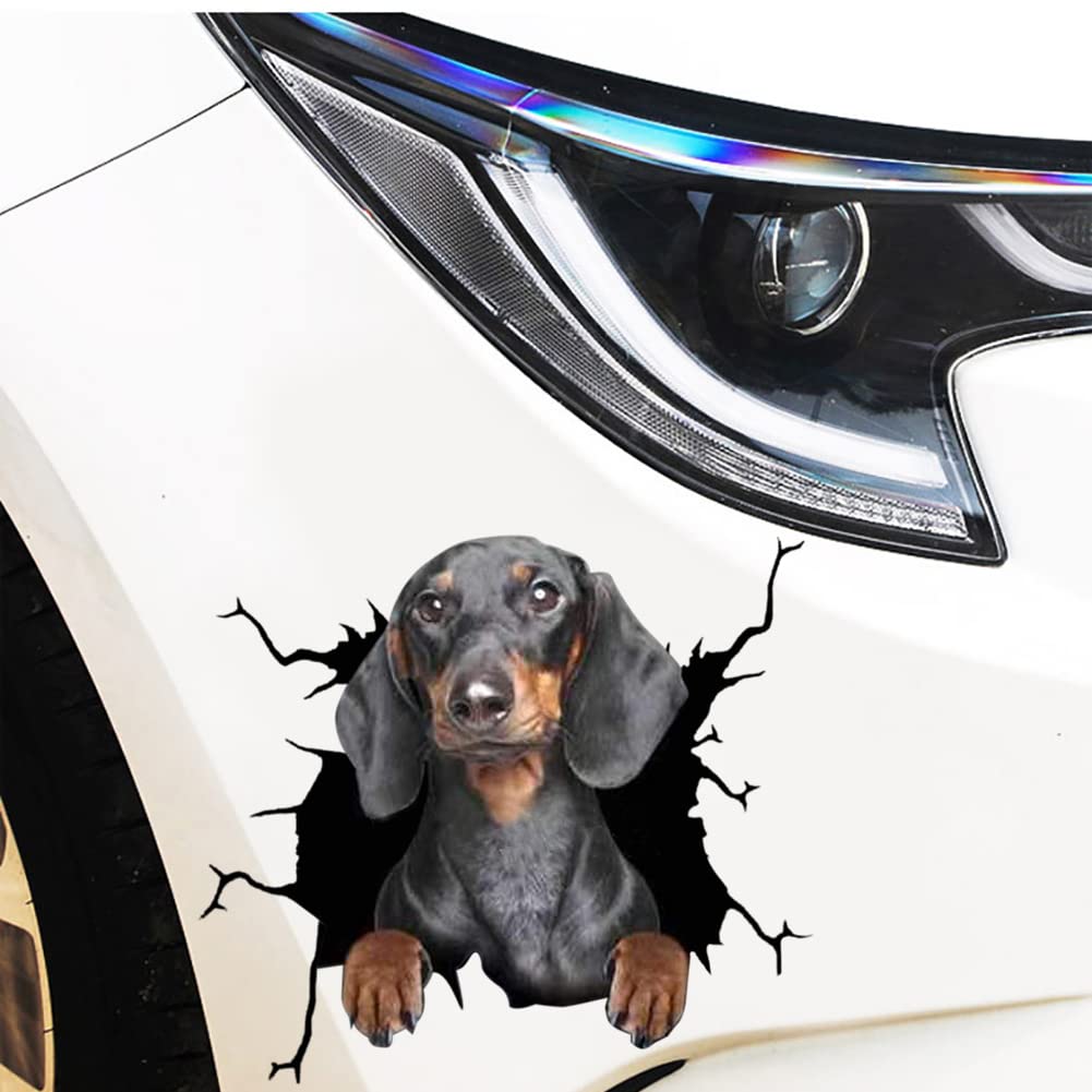 3D Hund Aufkleber, 4 Stück Französische Bulldogge Aufkleber Auto Kühlschrank Wandaufkleber Personalisierte Bulldogge Hund Auto Aufkleber Lustige Bulldogge Riss Aufkleber für Auto Motorrad,30cmx30cm von LSGGTIM
