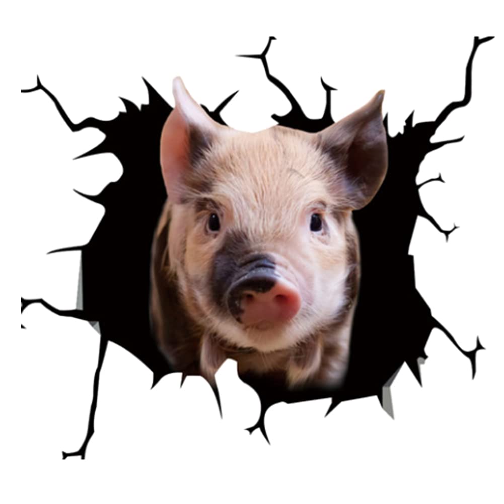 LSGGTIM 4 Stück Schweine Auto Aufkleber, 30cmx30cm Lustige Autoaufkleber 3D Lustige Tier Selbstklebende Aufkleber Heckscheibe Personalisierte Aufkleber für Laptop Windows Kühlschrank Wohnmobil LKW von LSGGTIM