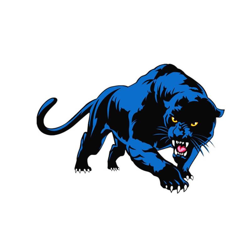 LSGGTIM Panther Autoaufkleber, 3D Personalisierte Panther Tier Aufkleber Autoaufkleber Karosserie Fenster Reflektierende Aufkleber Panther Motorrad Tuning Logo Sticker für Auto Motorrad, 25cmx14cm von LSGGTIM