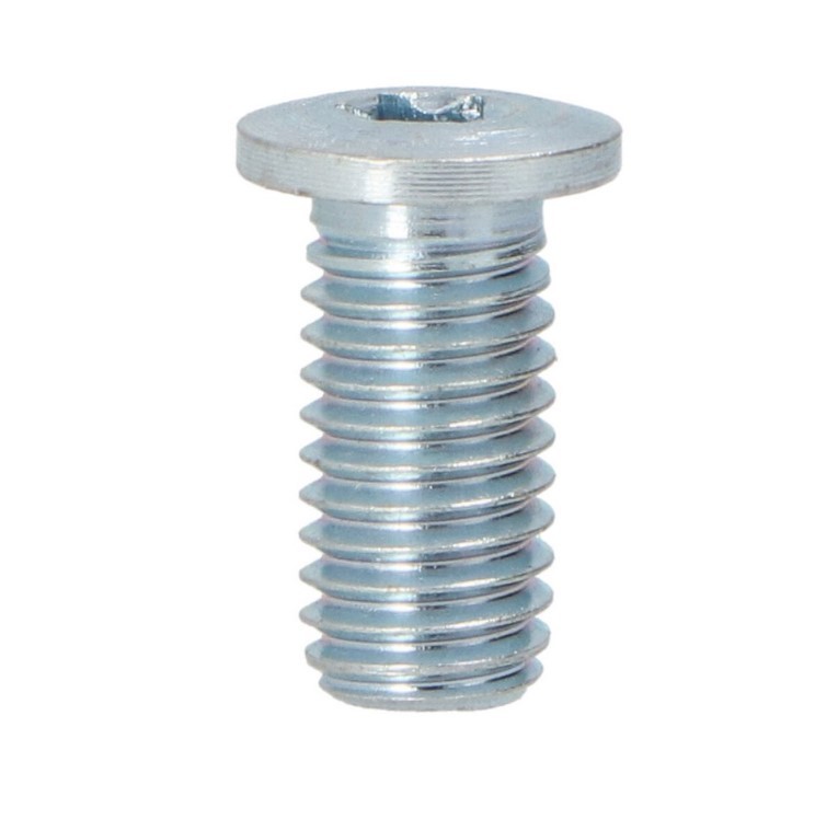 LTD Schraube, Bremsscheibe RENAULT LTD-7703009271 7703009128,7703009271 von LTD