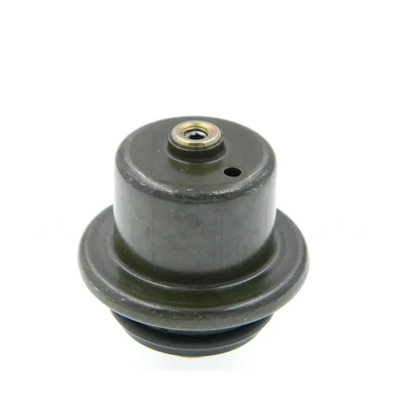 LUOWEINA Kraftstoffeinspritzdruckregler, passend for Chevrolet, Astro Blazer Express 1500 S10 Kraftstoffdruckregelventil von LUOWEINA