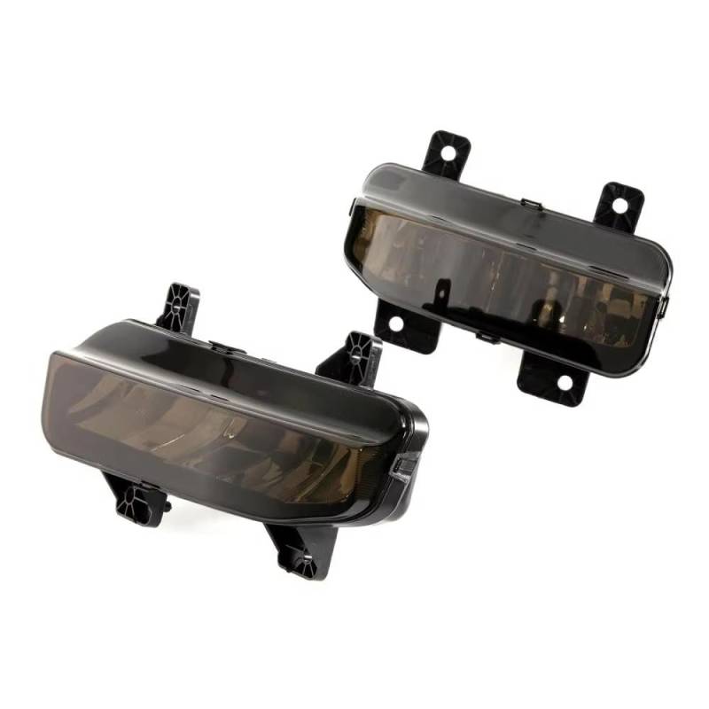 LUYYT Auto Front Stoßstange Nebel Licht Nebelscheinwerfer kompatibel mit für Dodge Ram 1500 2500 3500 2019 2020 2021 von LUYYT