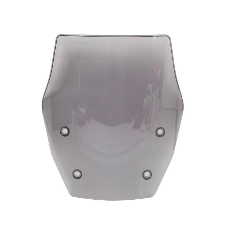 Windschutzscheibe Windschott Für R1300GS R1300 GS 2024 Motorrad Windschutzscheibe Windschutz Windabweiser Motorrad-Fliegenschutz(Gray) von LVGVZTTGKM
