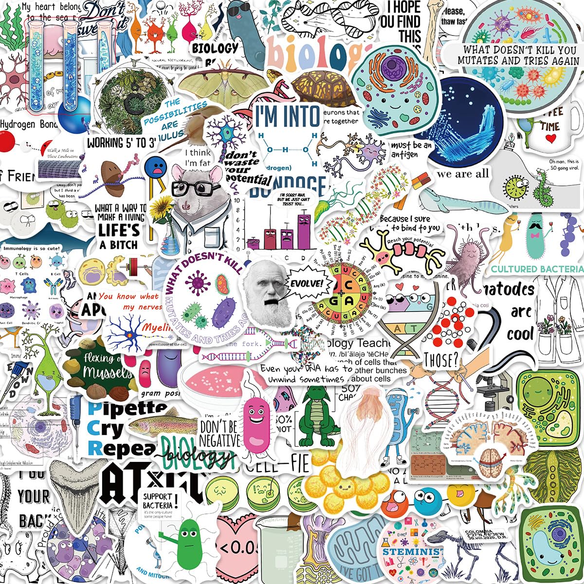 Biologie Labor Aufkleber 100 Stück Vinyl Cartoon Student Wissenschaftlich Aufkleber für Skateboard Scrapbook Laptop Auto Fahrrad Gepäck,Wasserdicht Funny Physik Stickers für Jugendliche Erwachsene von LYLSDSB