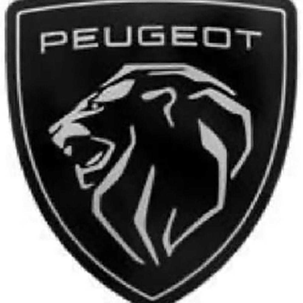 Auto Emblem Aufkleber, für Peugeot 107 3-Door 3D Buchstabenmarke Badge Aufkleber Emblem Aufkleber Buchstaben Emblem-Schild,normal-B Auto Emblem Aufkleber, für Peugeot 107 3-Door 3D Buchstabenmarke Badge Aufkleber Emblem Aufkleber Buchstaben Emblem-Schild,normal-B von LZJPL