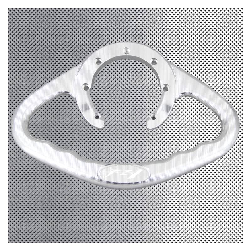 Laiteanqi Compatible with Yama ha FZ1 2001-2016, FZ1/FZ 1 FA ZER 2006-2015 CNC Motorrad Beifahrer Greif Handgriff Handgriff Tank Armlehne Beifahrer Haltegriff(Silver 2) von Laiteanqi
