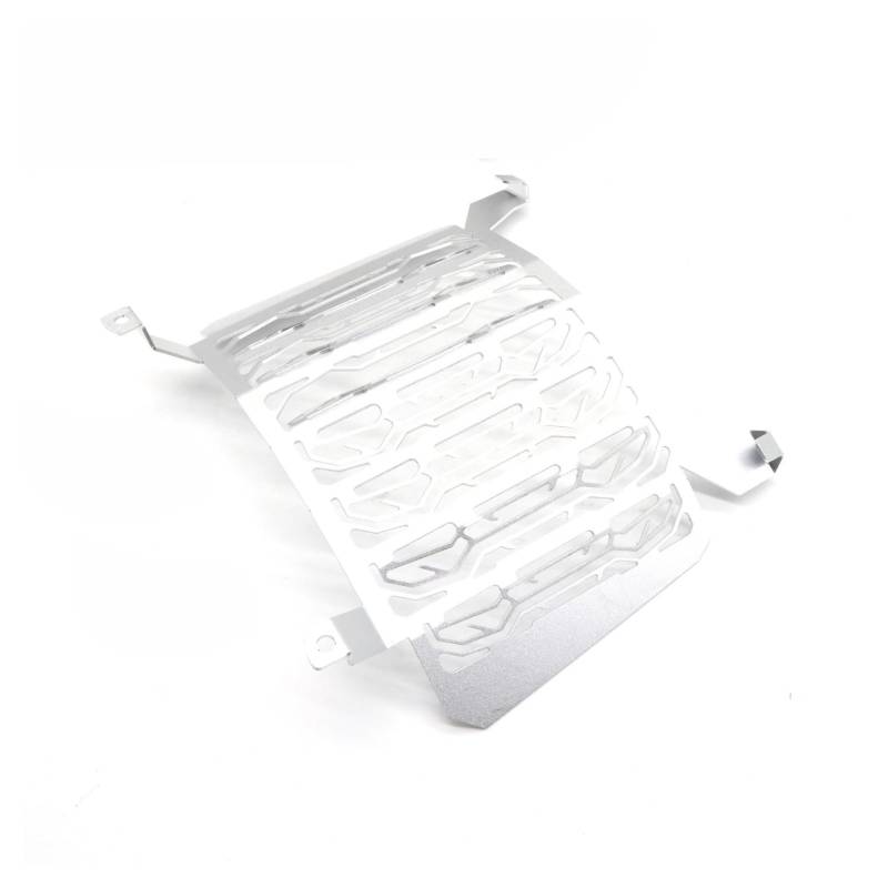 Laiteanqi Motorrad Kühlergrillabdeckung Compatible with B M W F850GS F 850 GS F750GS F 750 GS F850 GS Motorrad Zubehör Kühlergrill Schutzfolie Grill Abdeckung Mesh Kotflügel(B1) von Laiteanqi