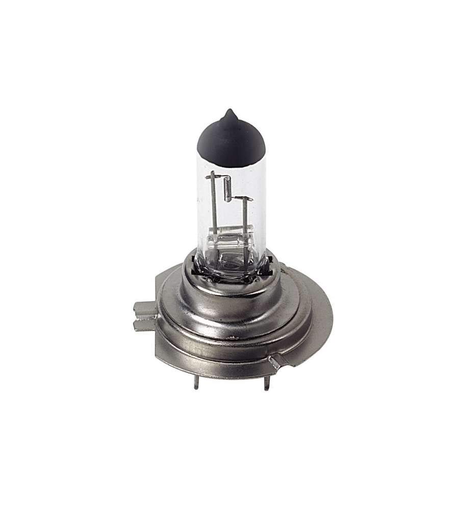 Lampa Halogenlampe H7 12V 55W 1er-Pack von Lampa