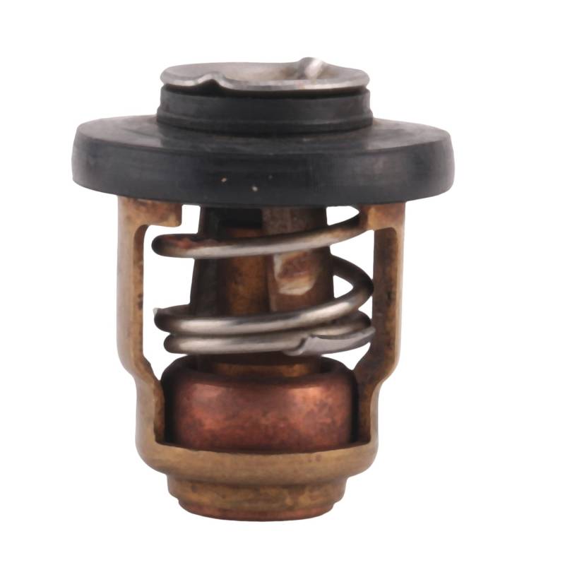 Lanonvy Boots Teile & Zubehör 1 Stück 6E5-12411-00 6E5-12411-02 6E5-12411-10 Boots Motor Thermostat für für Außenbord Motor Motor Teil von Lanonvy