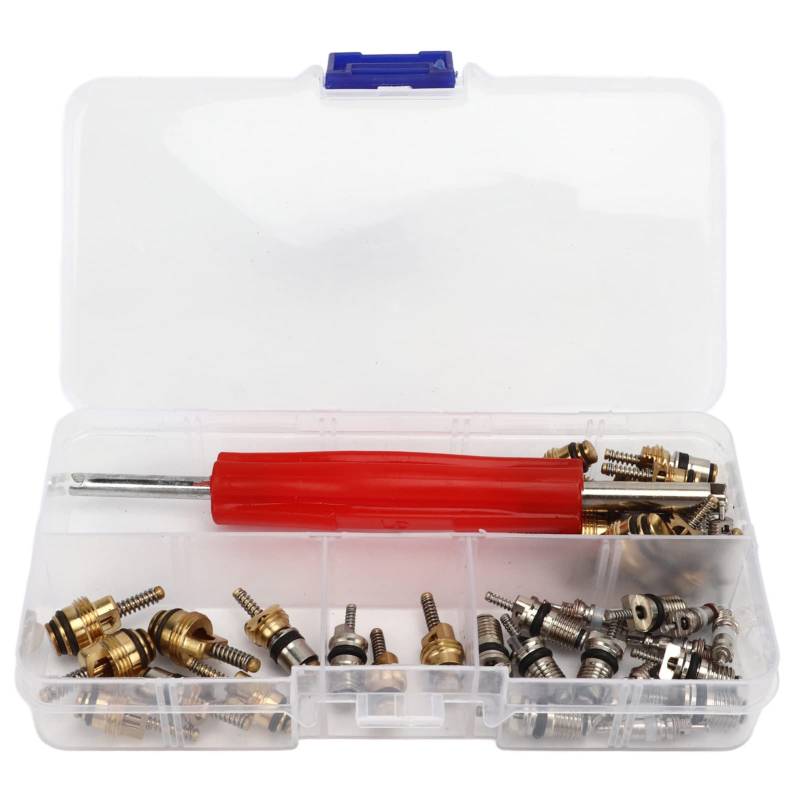 Ldafava AC -Master -Ventil -Kern -Kit 41pcs mit Remover Tool R12 R134A Automobilkühlventilkerne für die meisten Autos Trucks Fahrräder und Elektrobikes Aluminiumkupfermaterial von Ldafava