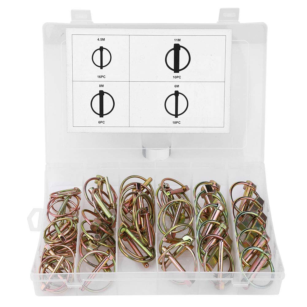 Leapiture 50pcs Lynch -Stift -Sortiment -Kit Stahl Ringes Sicherheitsstift Traktorverriegelungsstift mit Kunststoffbox Robus für Farm Traktoranhänger Leapiture 50pcs Lynch -Stift -Sortiment -Kit Stahl Ringes Sicherheitsstift Traktorverriegelungsstift mit Kunststoffbox Robus für Farm Traktoranhänger von Leapiture