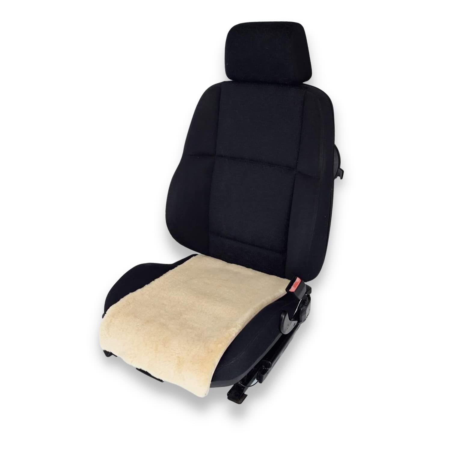 Hochwertige Lammfell Autositzauflage 36 x 60 cm – Geeignet für Sommer und Winter - Universelle Passform – Sehr pflegeleicht – Lange Haltbarkeit (Sekt) von Leibersperger