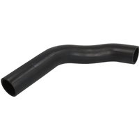 Gummischlauch des Kühlsystems LEMA LE6062.46 Gummischlauch des Kühlsystems LEMA LE6062.46 von Lema